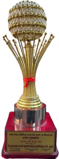 Best IT Head Award (Large Co-operative Banks)